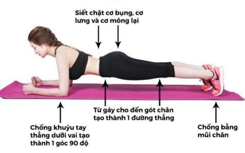 Plank Bai tap giam mo bung